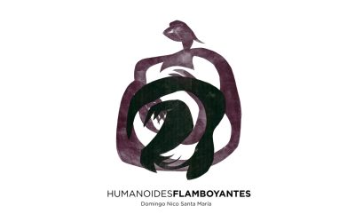 HUMANOIDES FLAMBOYANTES / Domingo Nico Santa María / 04 ENE – 30 MAY